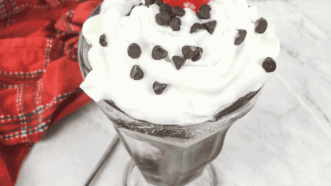 Easy Ninja Creami Dr. Pepper Cream Soda - Fork To Spoon