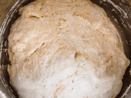 Frieda Loves Bread: Proofing Bread Dough in Your Instant Pot & Other Options