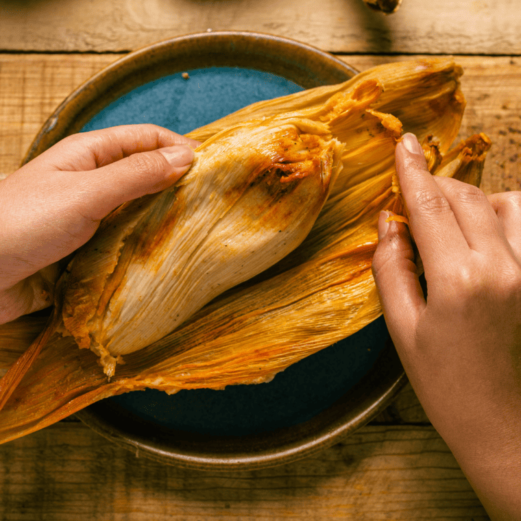 Air Fryer Trader Joe's Frozen Tamales