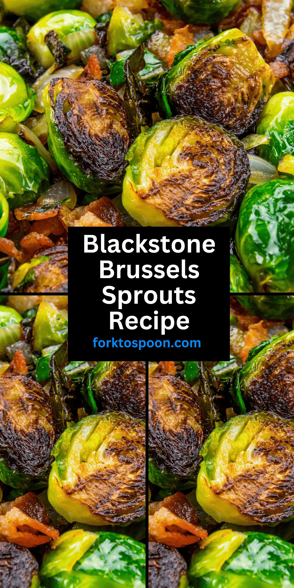 Blackstone Brussels Sprouts Recipe