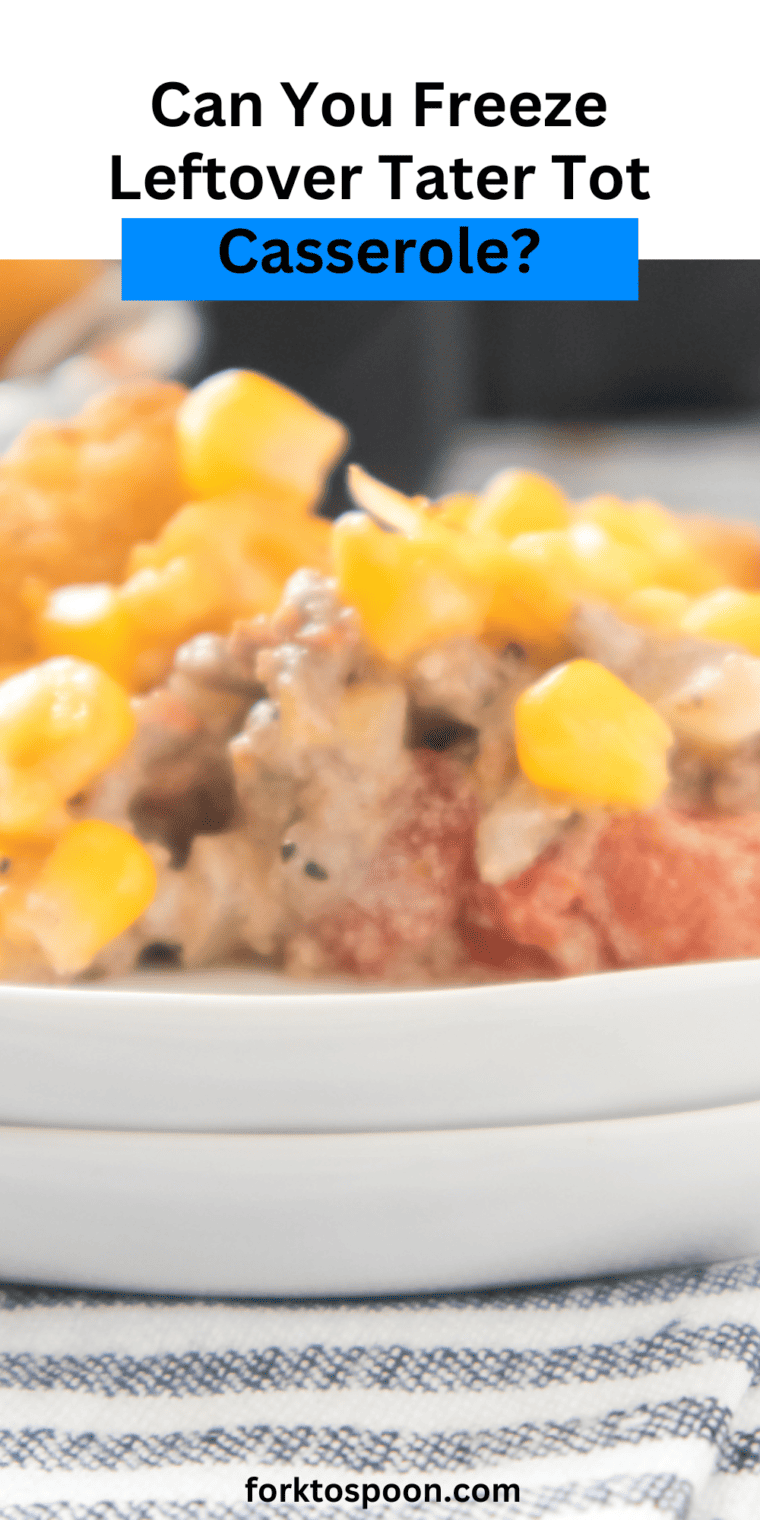 Can You Freeze Leftover Tater Tot Casserole?