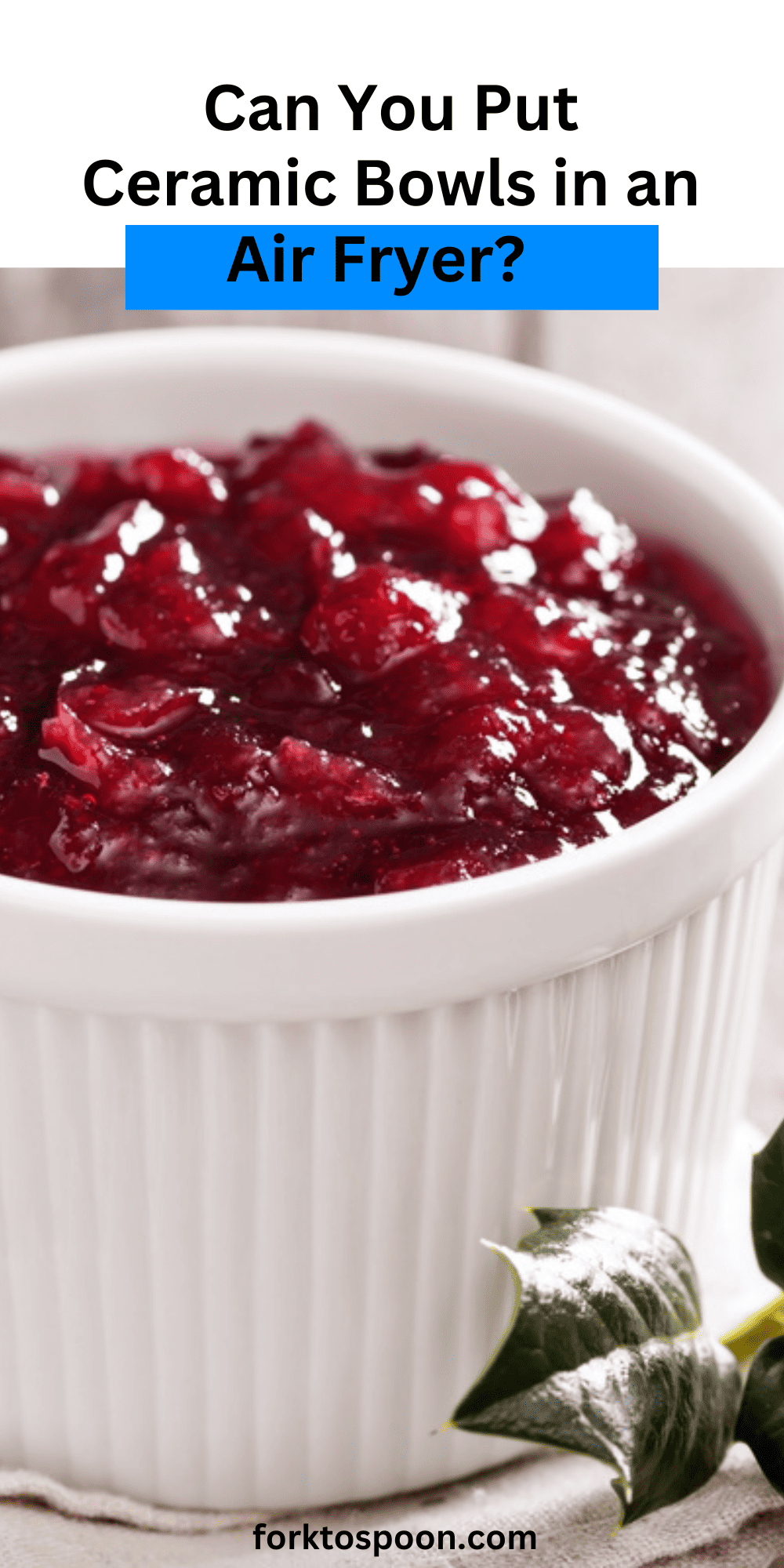 Can You Put Ceramic Bowls in an Air Fryer? Fork To Spoon