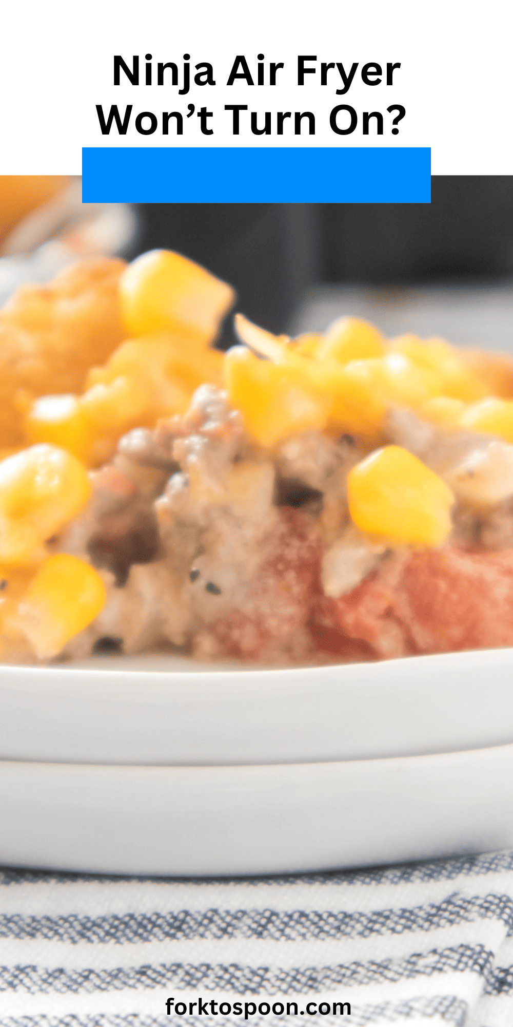 Ninja Air Fryer Won’t Turn On? Fork To Spoon