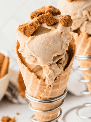 Ninja Creami Gingerbread Ice Cream