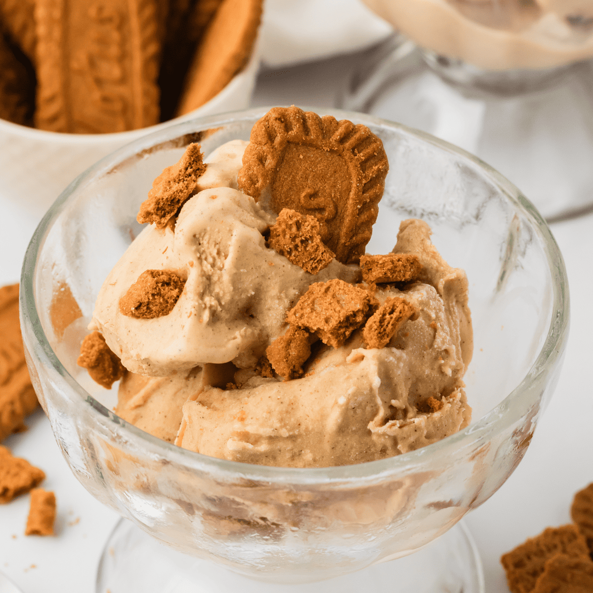 Ninja Creami Gingerbread Ice Cream