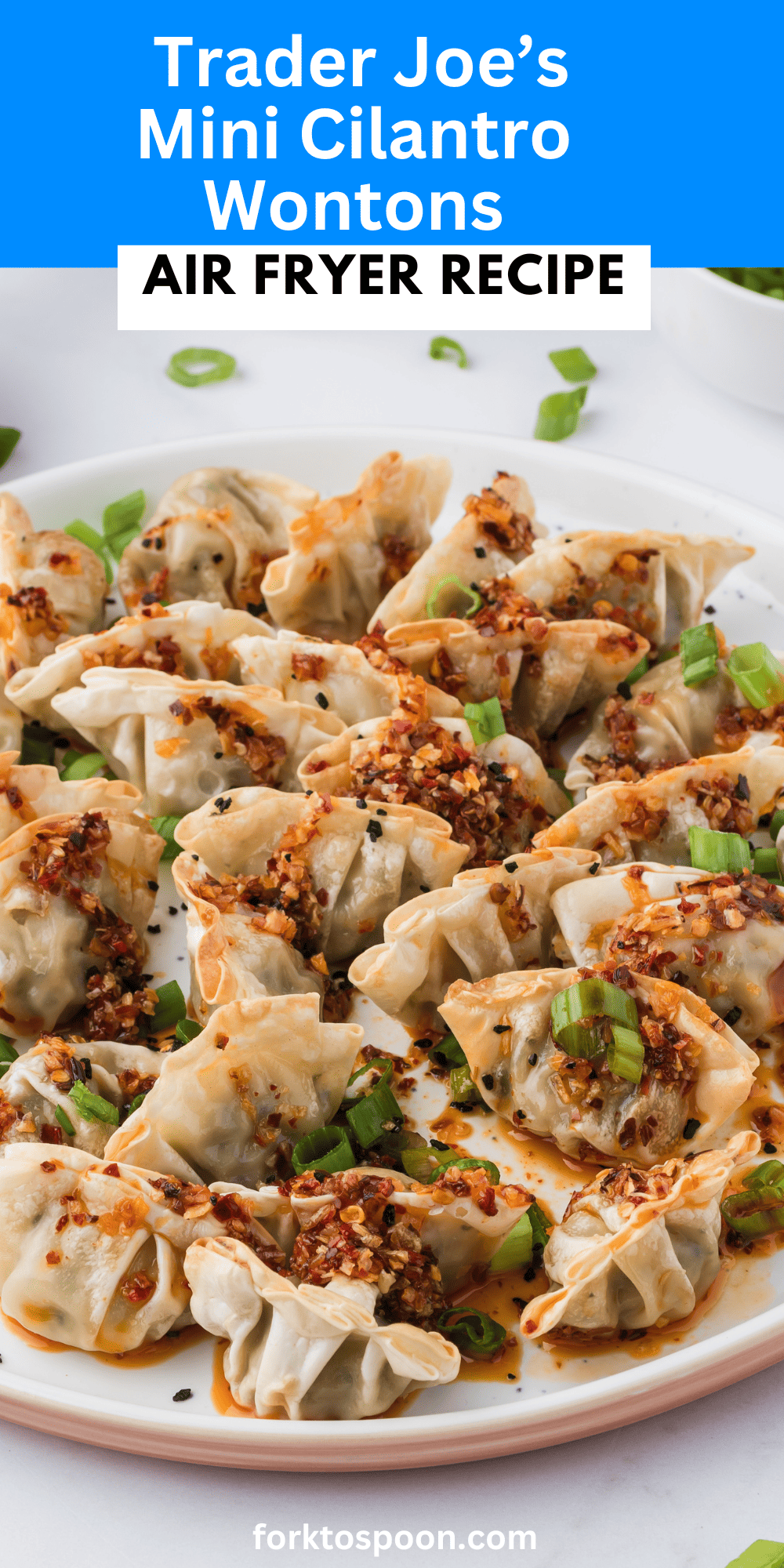 Air Fryer Trader Joe's Cilantro Wontons