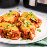 Air Fryer Salsa Chicken