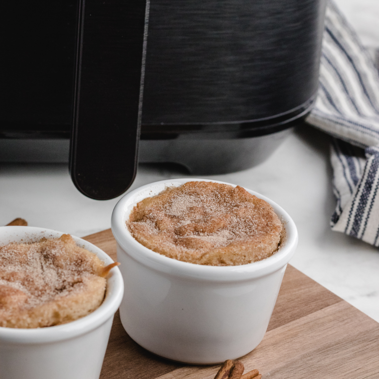 Air Fryer Snickerdoodle Mug Cake