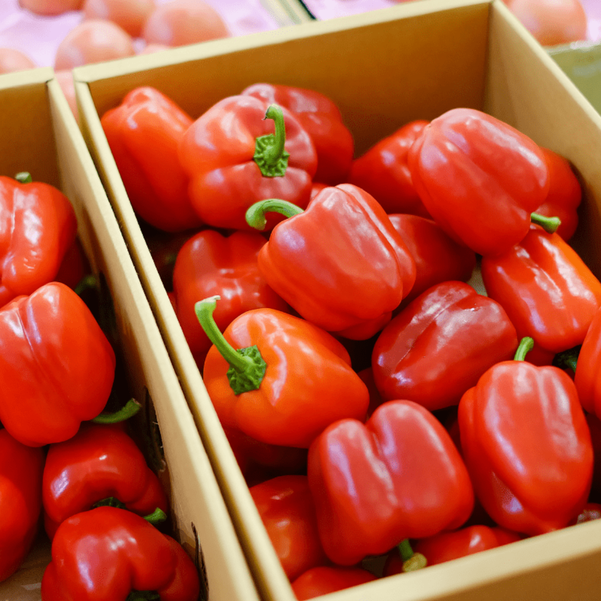 Ingredients needed for Air Fryer Peppers and Onions