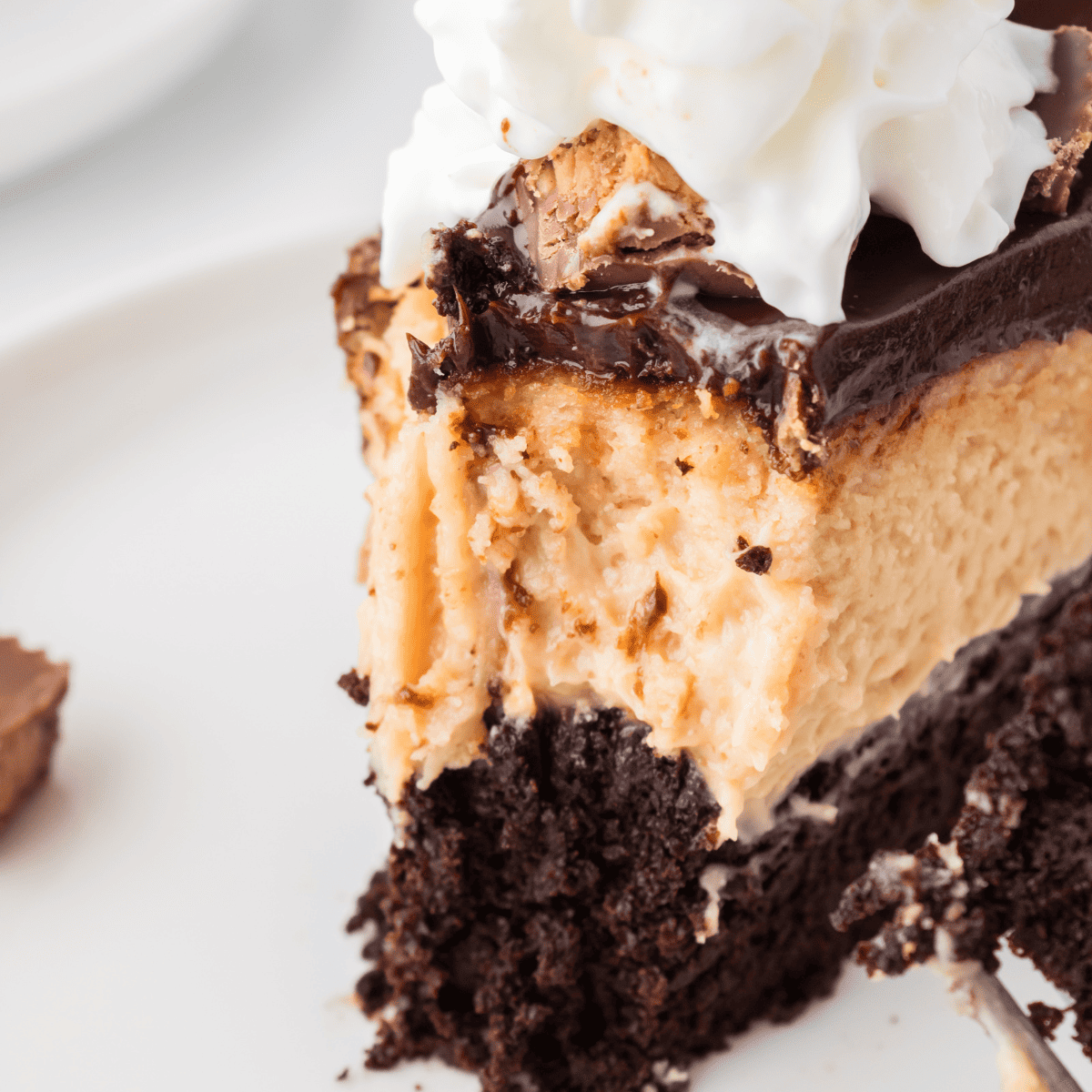 Copycat Cheesecake Factory Reese's Peanut Butter Chocolate Cake ...