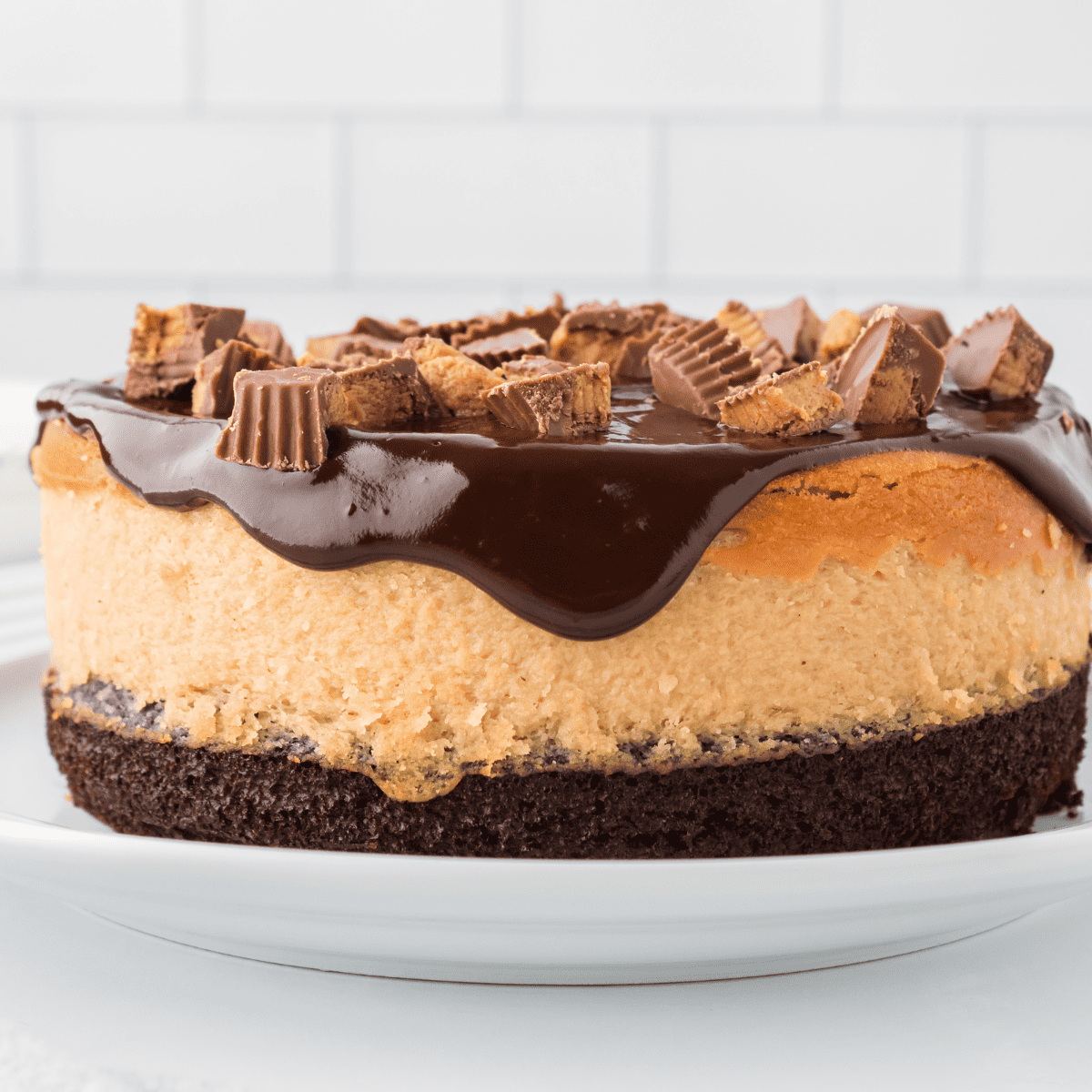 Copycat Cheesecake Factory Reese's Peanut Butter Chocolate Cake Cheesecake