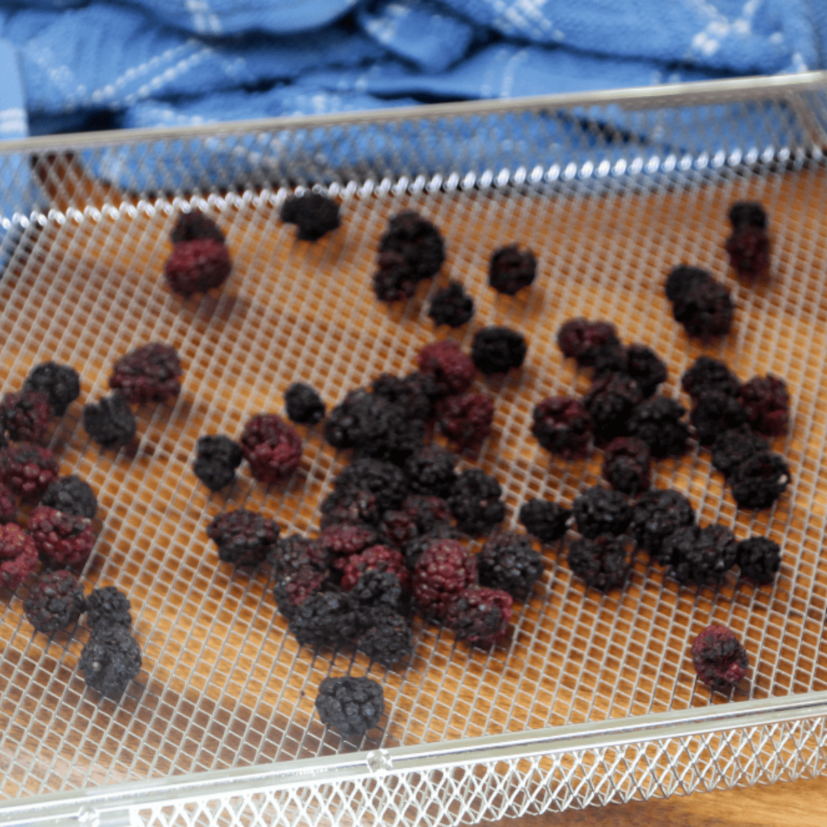 Air Fryer Dehydrating Blackberries Fork To Spoon