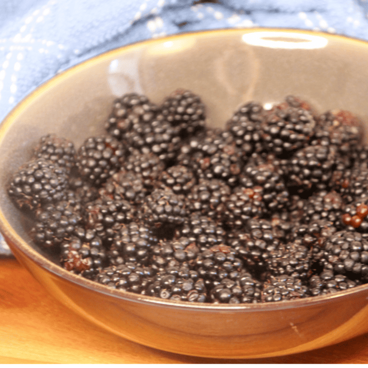 Ingredients Needed For Air Fryer Dehydrating Blackberries