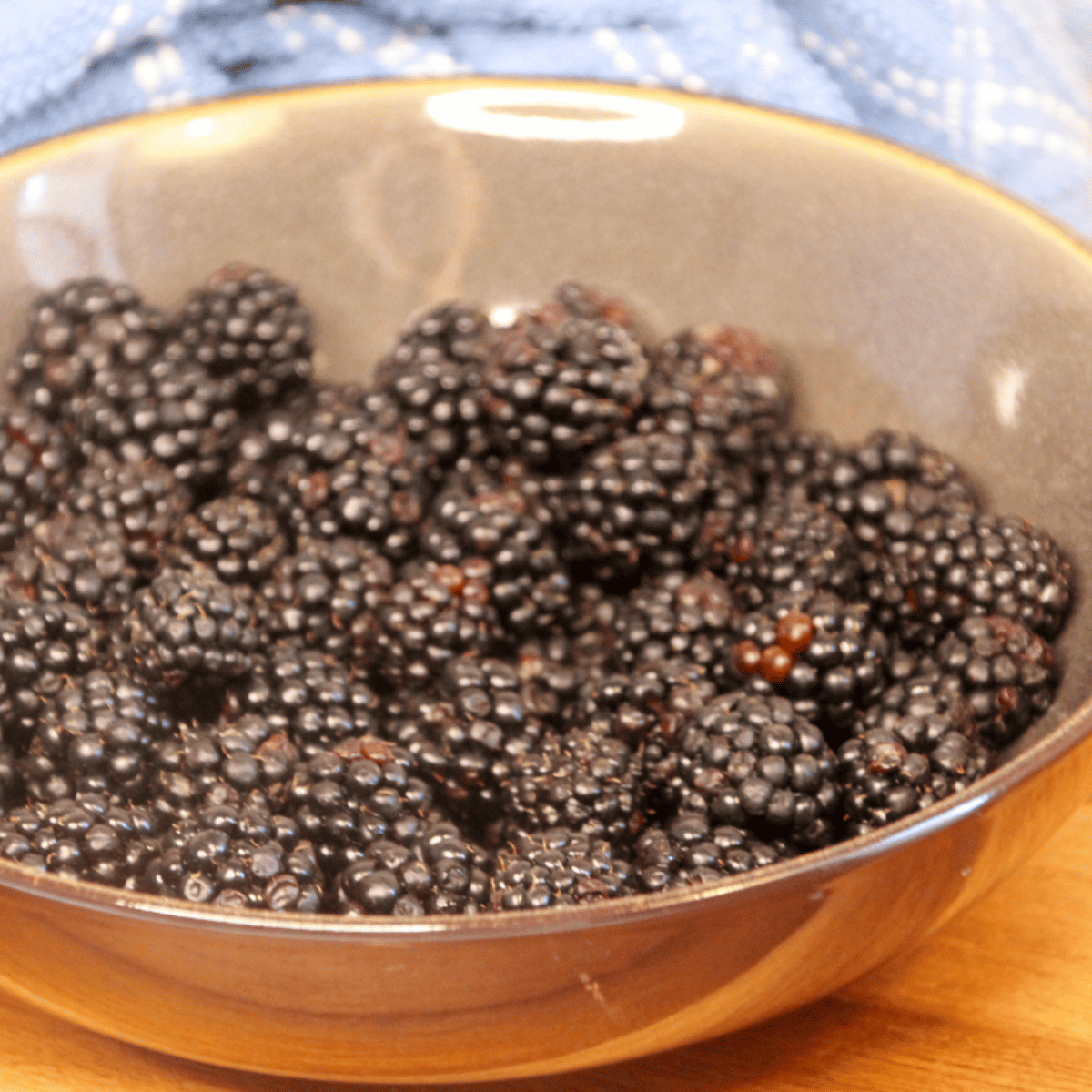 Air Fryer Dehydrating Blackberries - Fork To Spoon