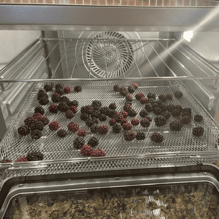 Air Fryer Dehydrating Blackberries