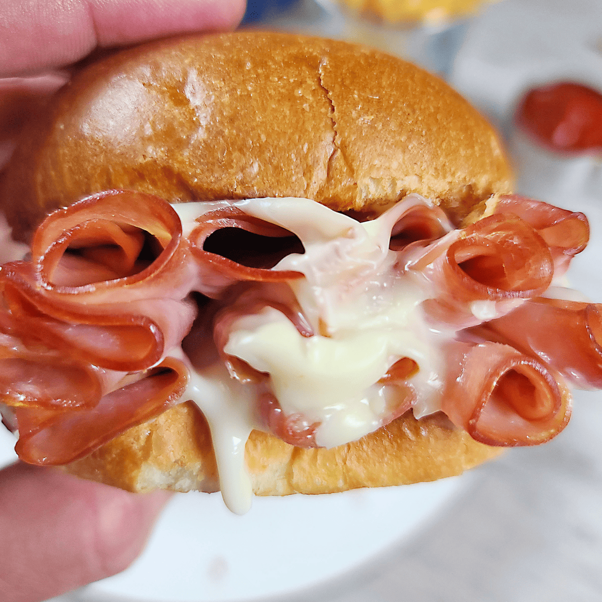 Air Fryer Hardee’s Big Hot Ham N' Cheese Fork To Spoon