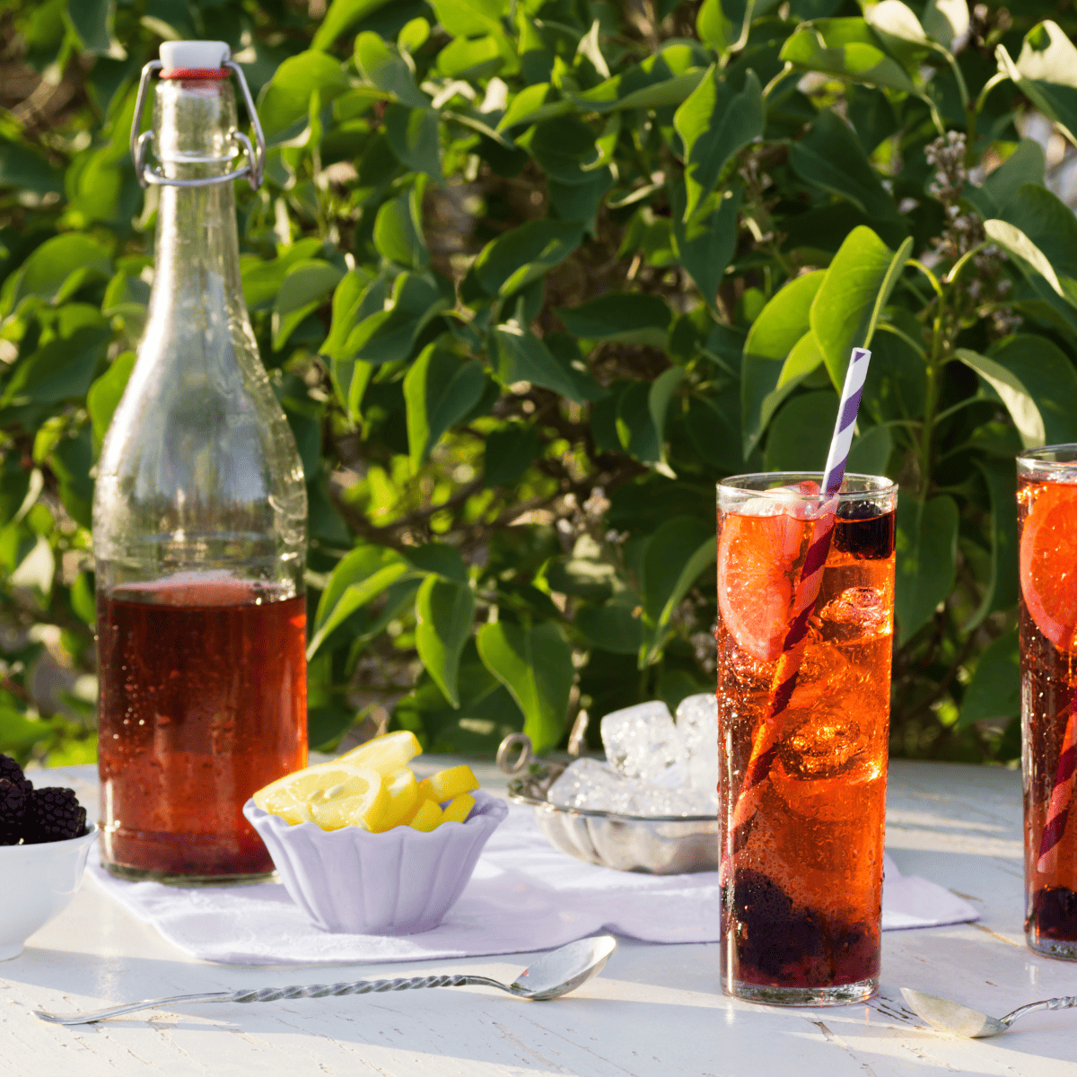 Instant Pot Blackberry Ice Tea