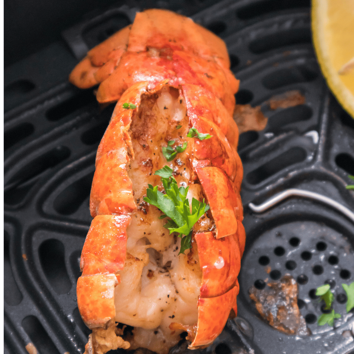 Air-Fryer-Lobster-Tails-7