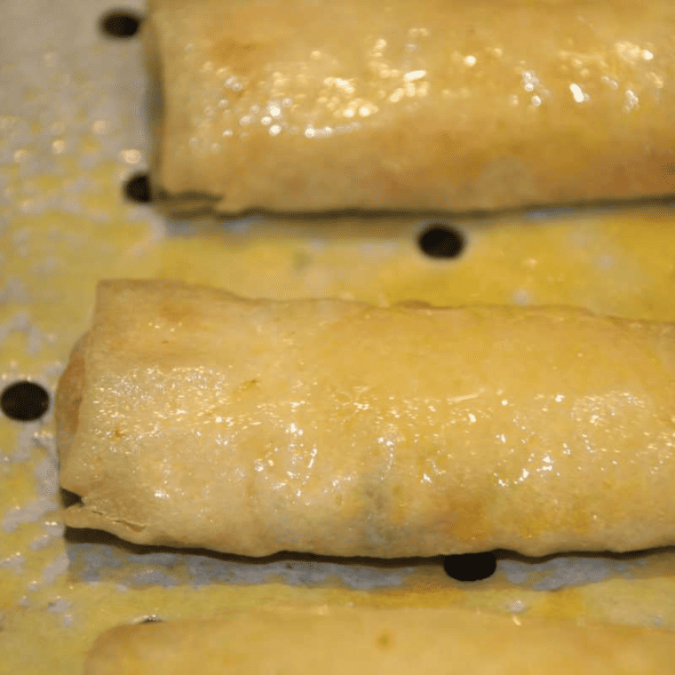 Air Fryer Salmon Spring Rolls