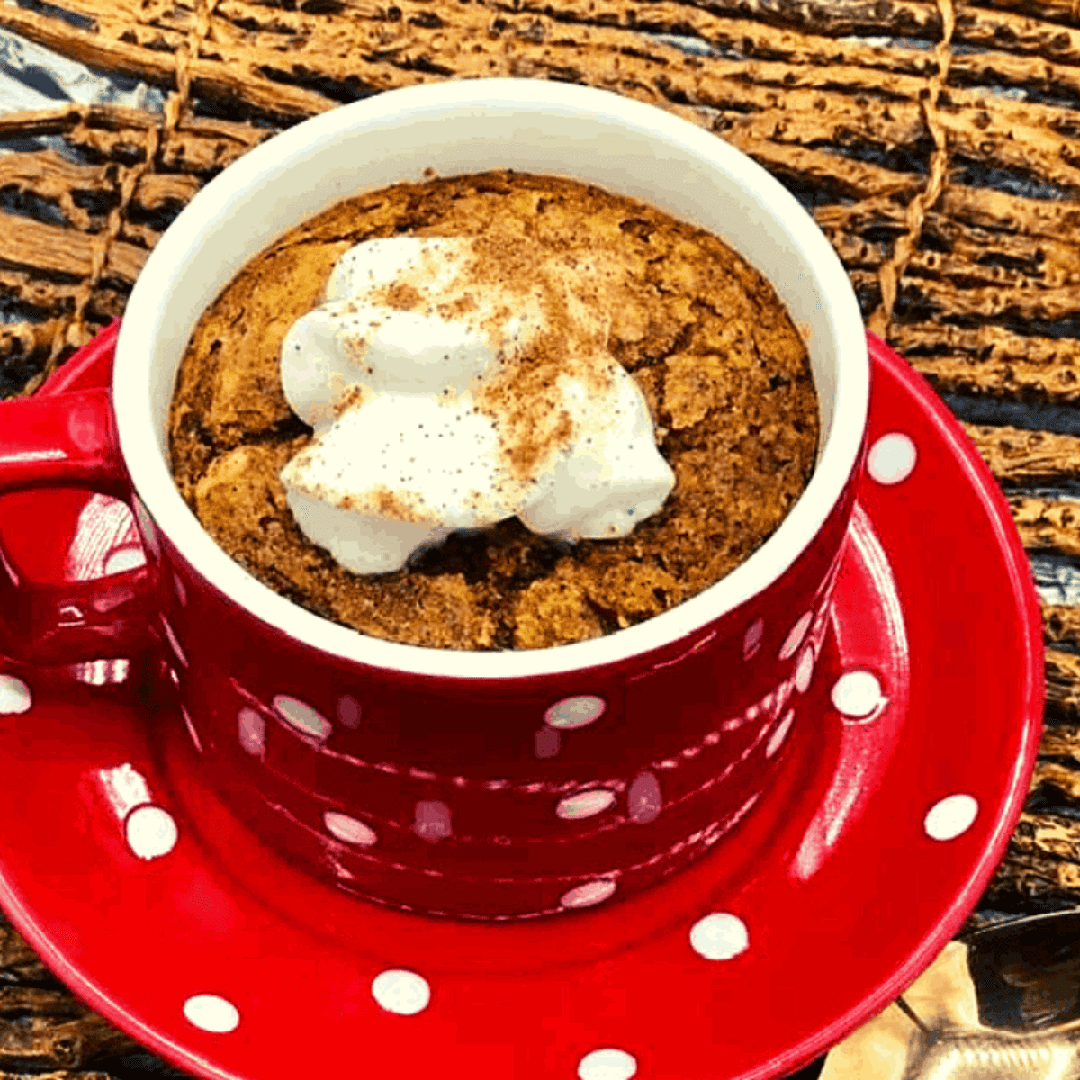 Air Fryer Pumpkin Mug Cake