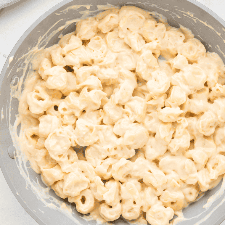 Cooked tortellini in alfredo sauce