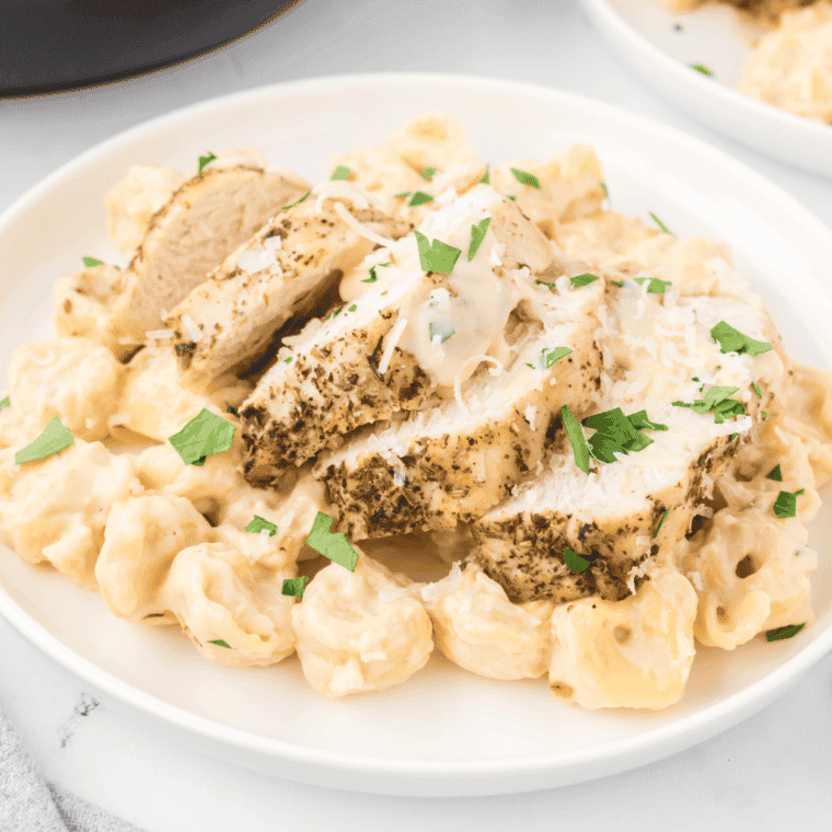 Closeup of chicken tortelloni alfredo