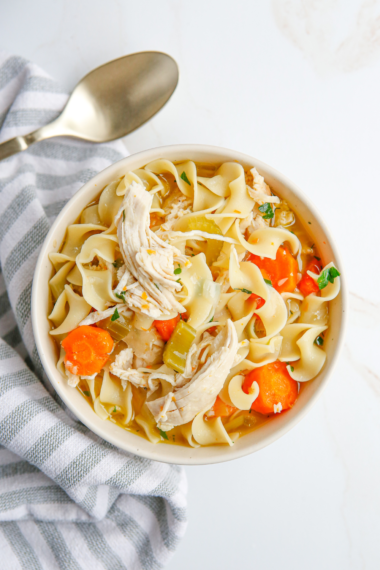 Copycat Instant Pot Panera Bread Chicken Noodle Soup