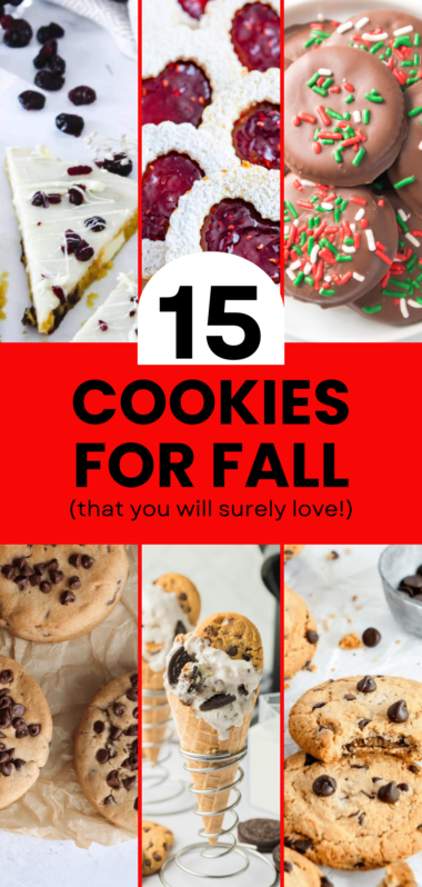 Discover 15 easy fall cookie recipes perfect for cozy autumn days! From spiced pumpkin cookies to classic snickerdoodles, these recipes are simple, delicious, and ideal for any fall occasion. Bake a batch and enjoy the flavors of the season with friends and family.