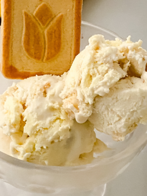 Ninja Creami Banana Pudding Protein Ice Cream