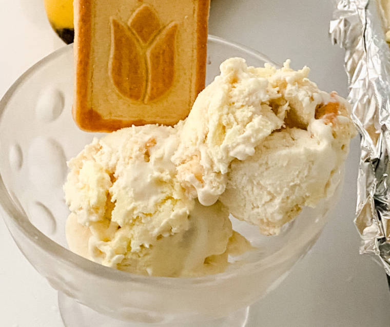 Ninja Creami Banana Pudding Protein Ice Cream