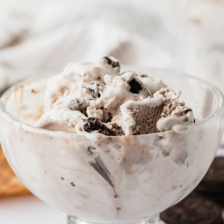 Ninja Creami Cookies and Cream Ice Cream  