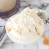 Ninja Creami Vanilla Protein Ice Cream Recipe