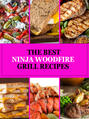 Ninja Woodfire Recipes