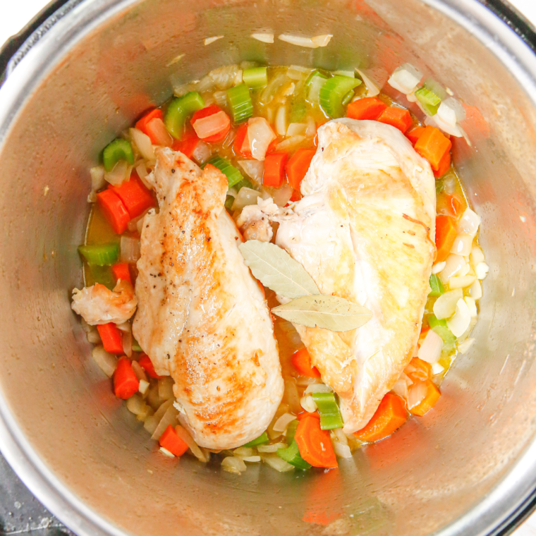 Instant Pot Chicken And Noodles With Cream Of Mushroom Soup