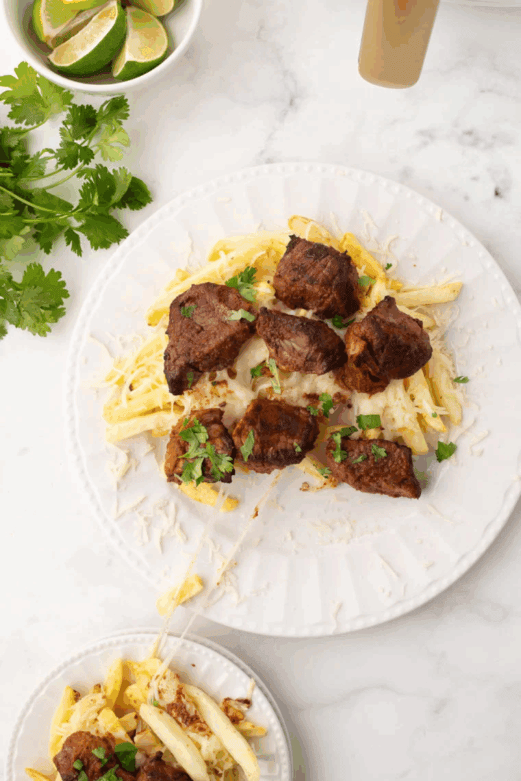 Golden, crispy Air Fryer Birria Fries served with melted cheese and topped with tender, juicy beef for a flavorful bite.