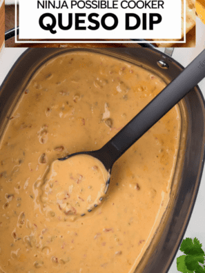 Ninja Possible Cooker Queso Dip