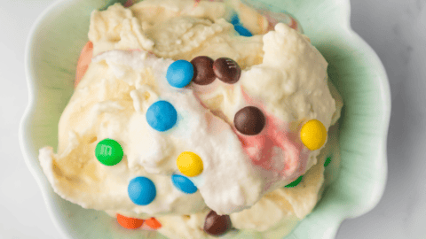 Ninja Creami Sonic M&M Blast - Fork To Spoon