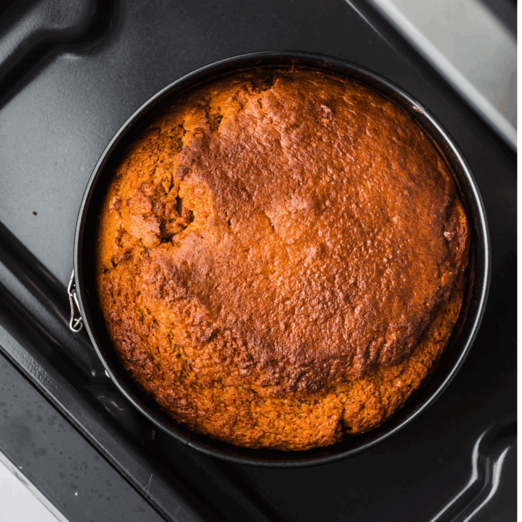 Cooked cake on the Ninja Foodi Grill tray.
