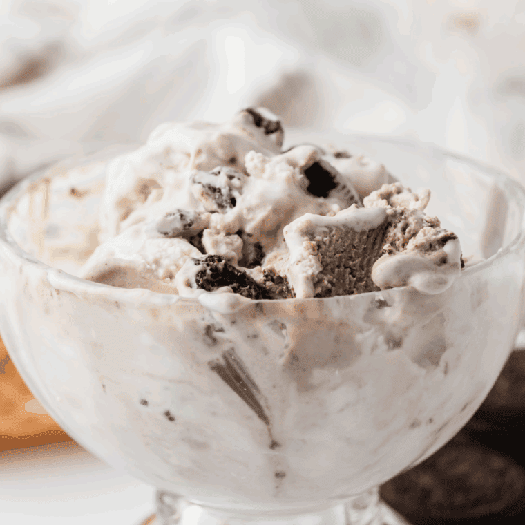 Scoop of homemade Dirt Cake Ice Cream from the Ninja Creami, loaded with crushed cookies and chocolate pudding swirls.