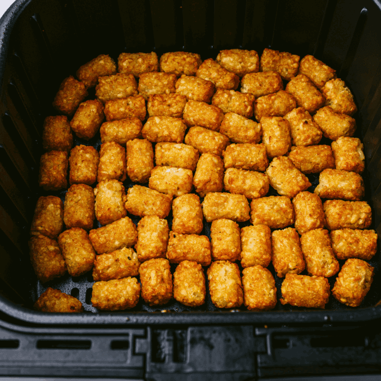 Place frozen Tater Tots into the air fryer basket.