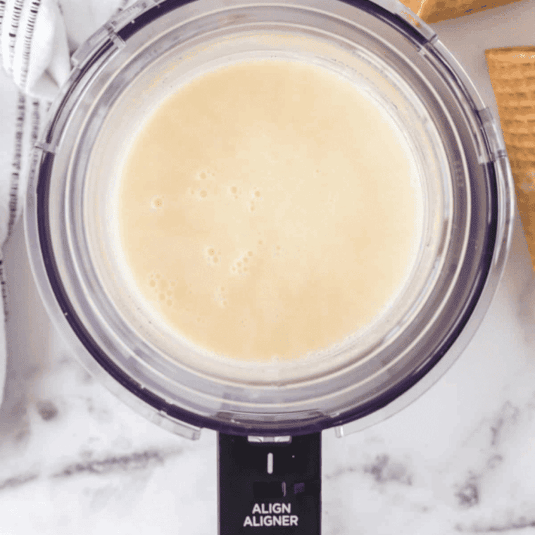 Pour all of the ingredients into an empty Ninja Creami Container.