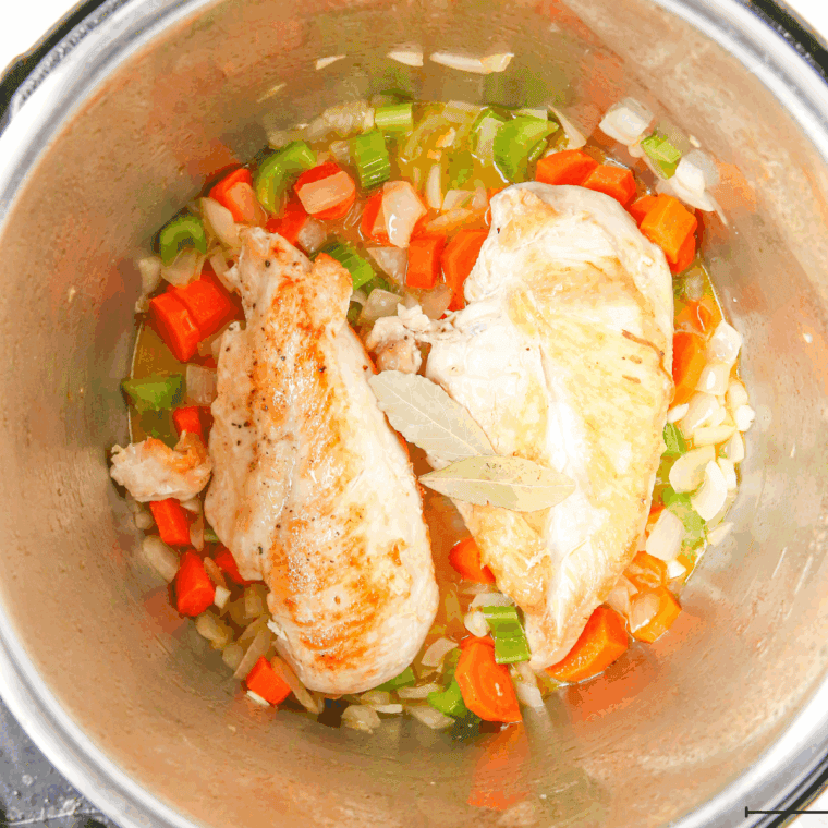 Whole chicken breasts placed in Instant Pot with chicken broth, dried thyme, salt, and black pepper ready for cooking.