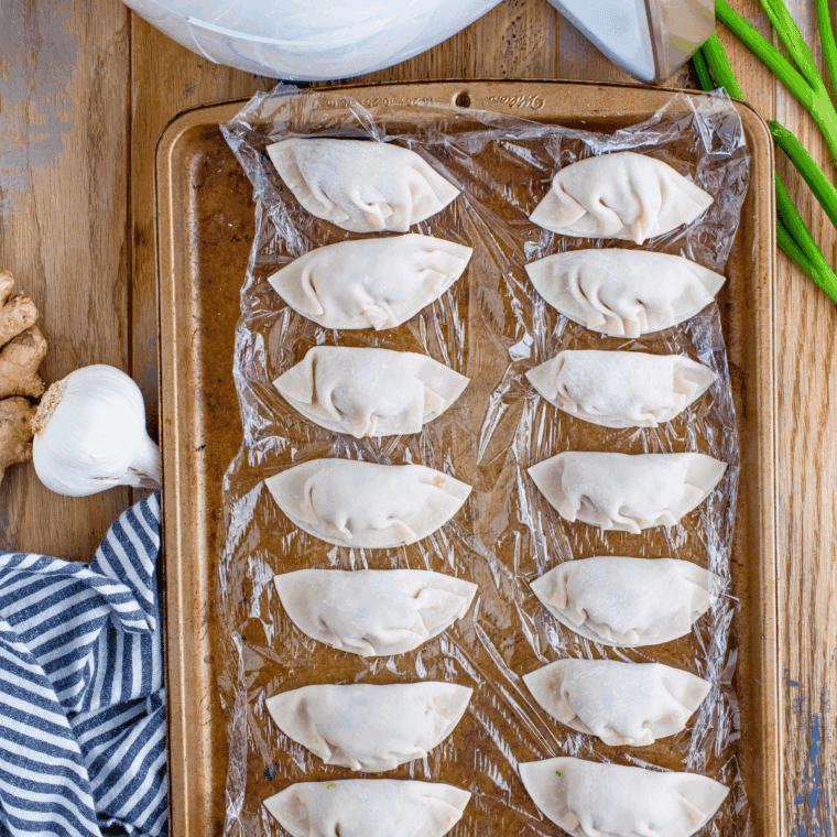 The plate of Benihana Gyoza is uncooked on the baking sheet.