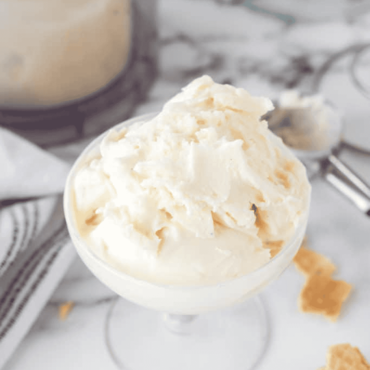 Copycat Ninja Creami Blue Bell Vanilla Ice Cream