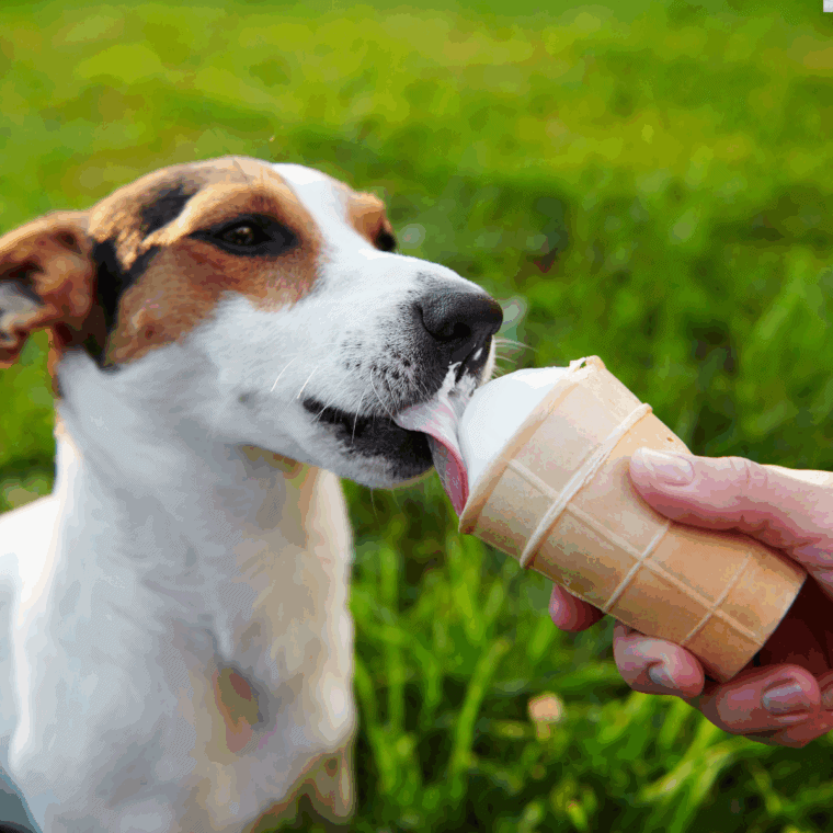 Ninja Creami dog ice cream in a pint container