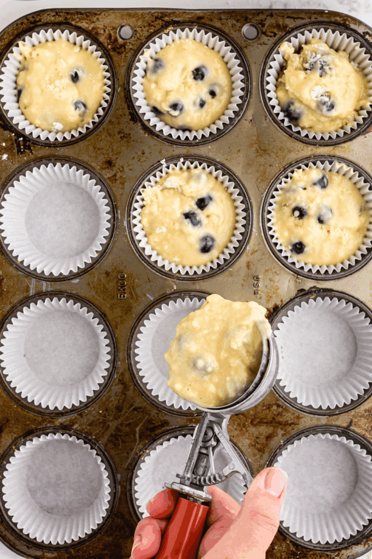 Muffin cups lined and filled with blueberry batter, ready for topping.