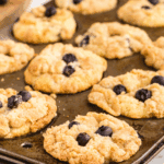 Tim Hortons Blueberry Muffins