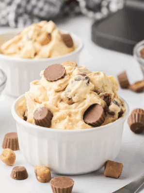 A scoop of Ninja Creami Chocolate Peanut Butter Ice Cream in a bowl topped with peanut butter drizzle and chocolate chips.