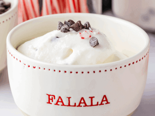 Easy Ninja Creami Peppermint Bark Ice Cream - Fork To Spoon