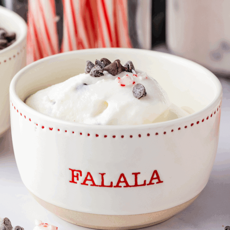 Bowl of creamy peppermint bark ice cream with chocolate chunks and crushed peppermint on top, ready to serve.